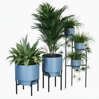 现代植物盆栽组合-2